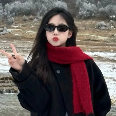 顽皮豹之子